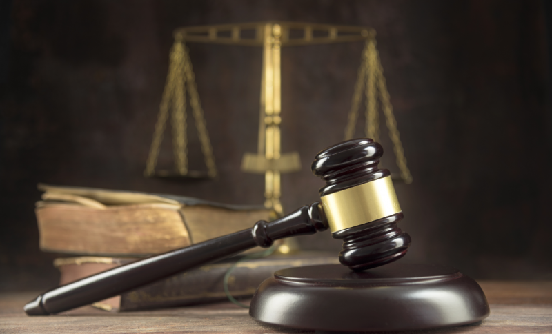 Судебная защита прав самозанятых